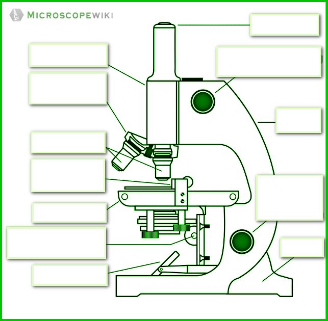 simple microscope diagram Free Worksheet student class 12
