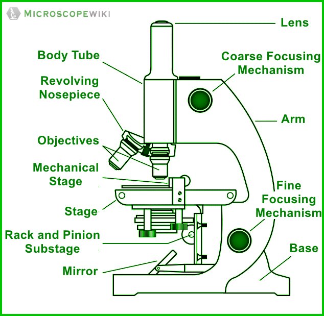 simple microscope diagram with labels student easy