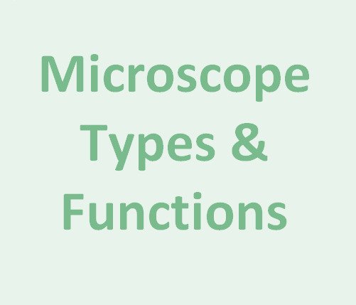 Microscope – Types, Diagrams and Functions