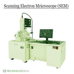 Scanning-Electron-Microscope-SEM-image