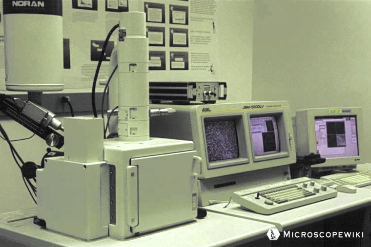 Scanning Electron Microscope (SEM) photo image