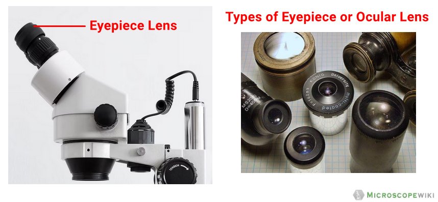 eyepiece or ocular lens image
