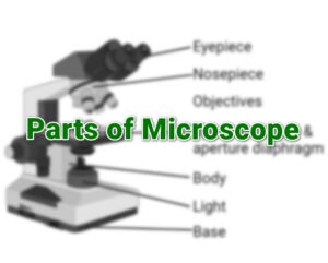 Microscope Wiki